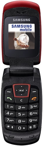   Samsung SGH-C260