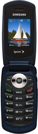   Samsung SPH-M220