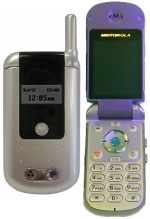   Motorola V810