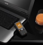   Sony Ericsson W810i