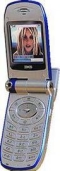   Samsung SCH-V300