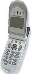   Motorola V60i