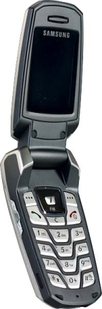   Samsung SGH-X300