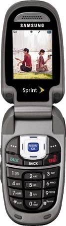   Samsung SPH-A820