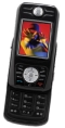   Telit T550