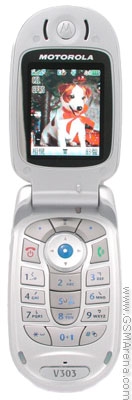   Motorola V303