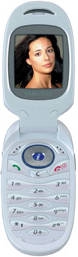   Samsung SGH-E500
