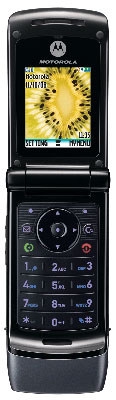   Motorola W355