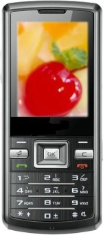   Samsung SCH-W299